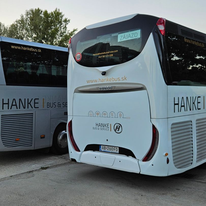 Hankebus
